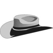cowboy_hat.jpg - 2,95 kB